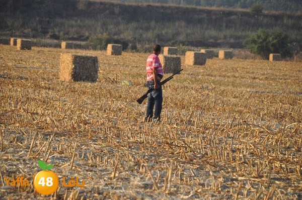 7amam lud monir 908 (34).JPG